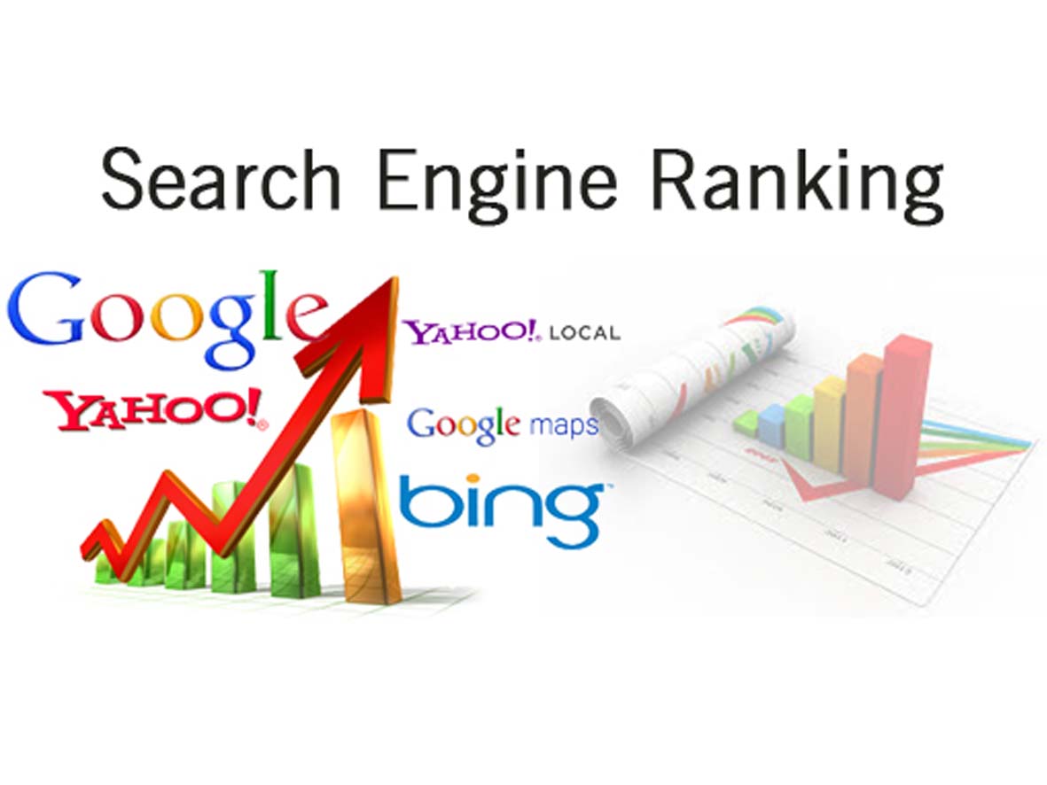 Search Engine Rankings