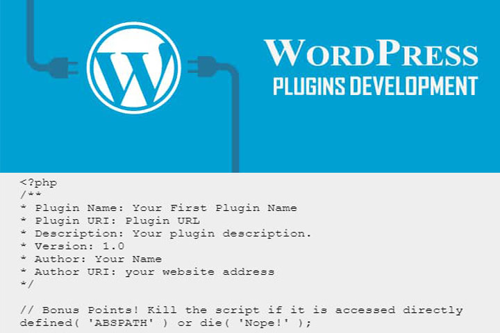 Wp Plugin Development
